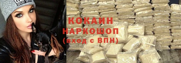 индика Навашино