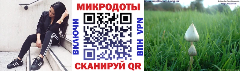 Галлюциногенные грибы MAGIC MUSHROOMS  ссылка на мегу вход  Белорецк 