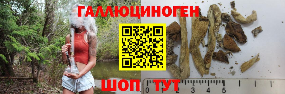 Галлюциногенные грибы Cubensis  Псилоцибиновые грибы ЛСД  Белорецк 